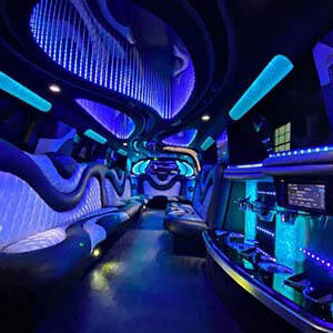 18 passenger limo